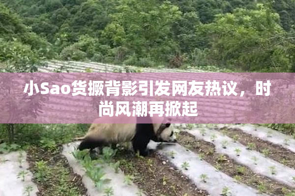 小Sao货撅背影引发网友热议，时尚风潮再掀起