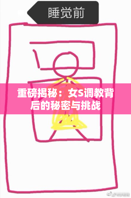 重磅揭秘：女S调教背后的秘密与挑战