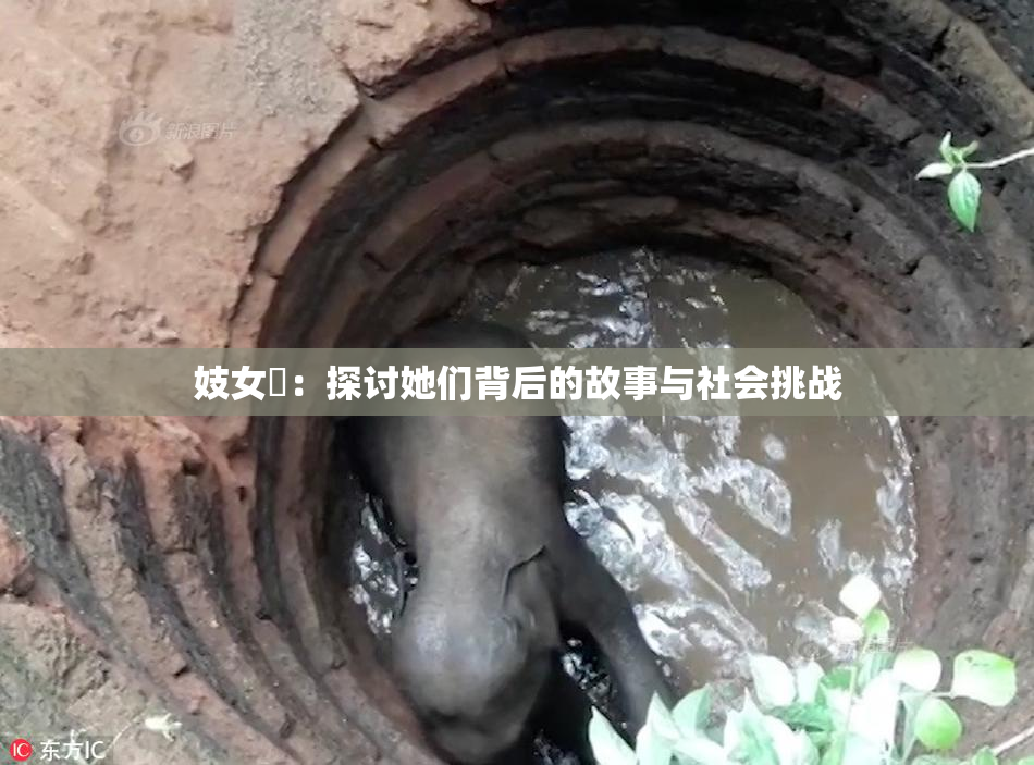 妓女梱：探讨她们背后的故事与社会挑战