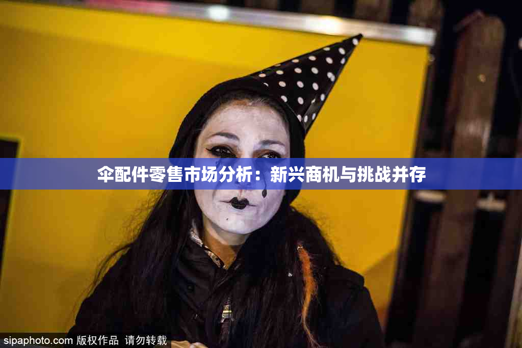 伞配件零售市场分析：新兴商机与挑战并存