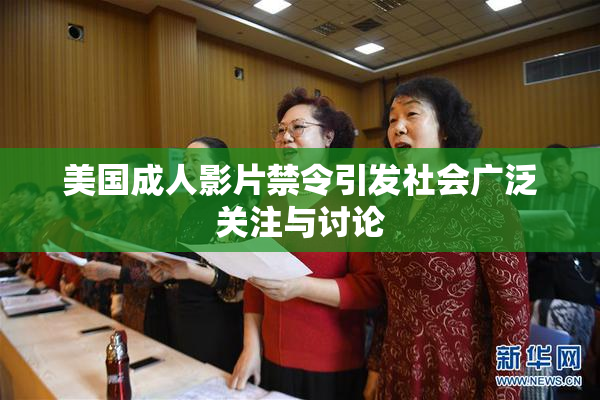 美国成人影片禁令引发社会广泛关注与讨论