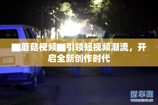 ▇蘑菇视频▇引领短视频潮流，开启全新创作时代