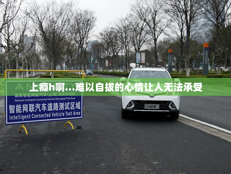 上瘾h啊…难以自拔的心情让人无法承受