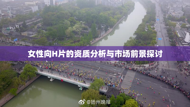 女性向H片的资质分析与市场前景探讨