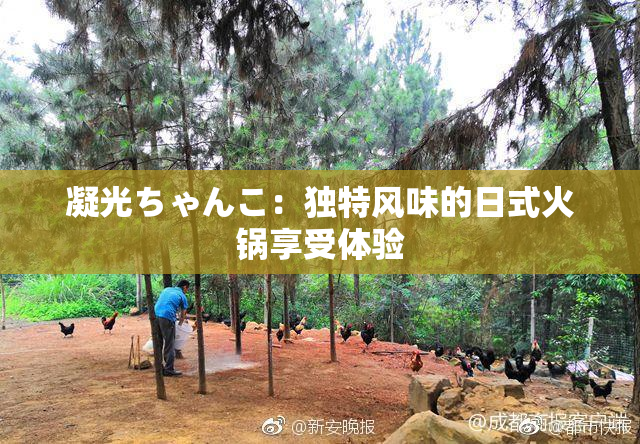 凝光ちゃんこ：独特风味的日式火锅享受体验