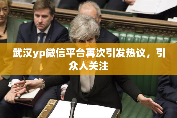 武汉yp微信平台再次引发热议，引众人关注