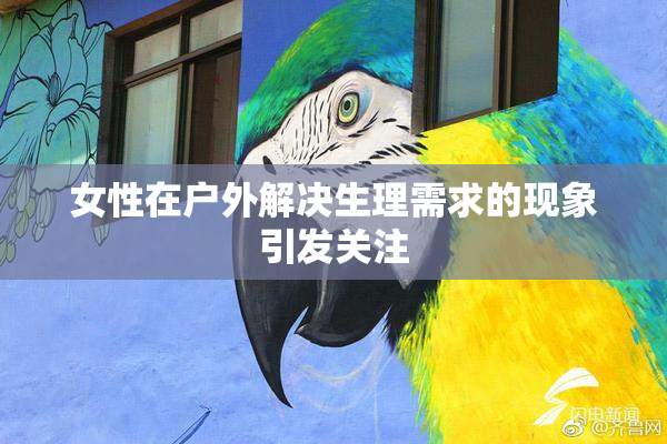 女性在户外解决生理需求的现象引发关注