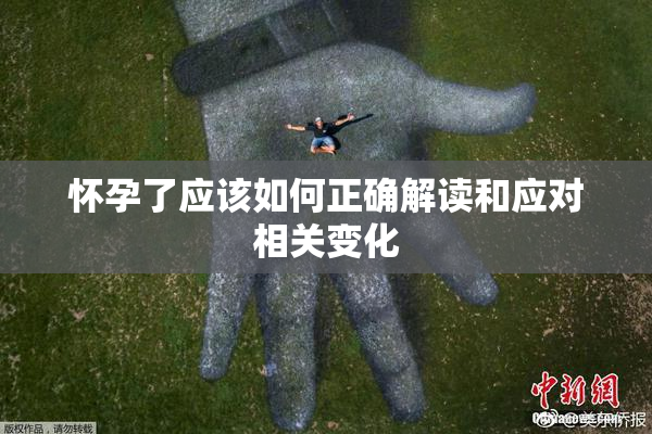 怀孕了应该如何正确解读和应对相关变化