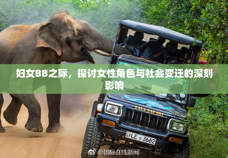 妇女BB之际，探讨女性角色与社会变迁的深刻影响