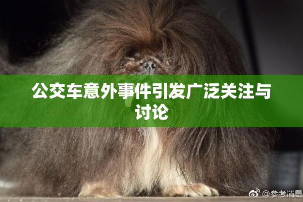 公交车意外事件引发广泛关注与讨论