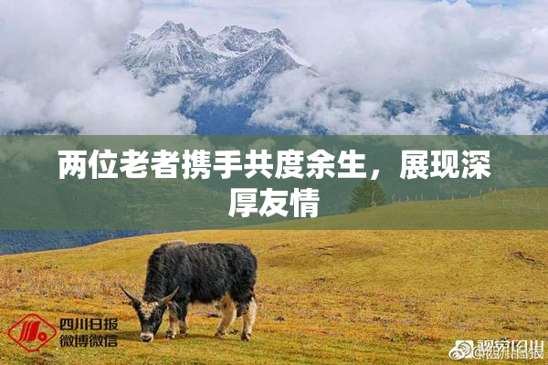 两位老者携手共度余生，展现深厚友情