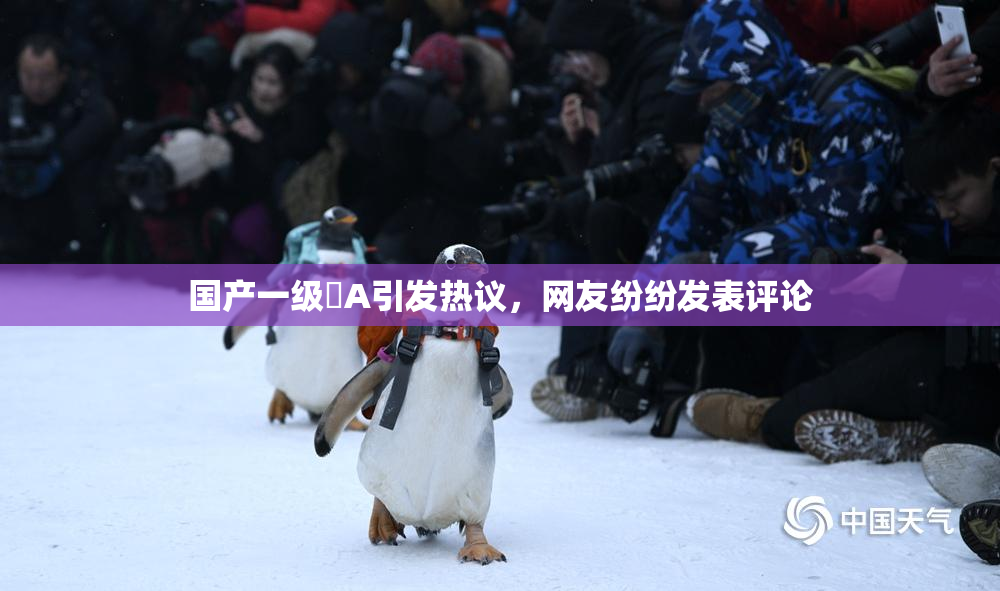 国产一级婬A引发热议，网友纷纷发表评论