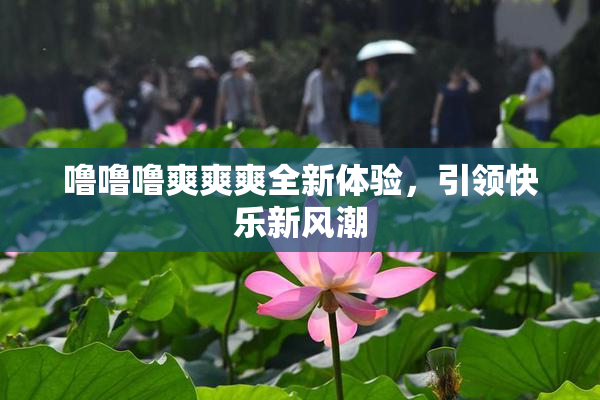 噜噜噜爽爽爽全新体验，引领快乐新风潮