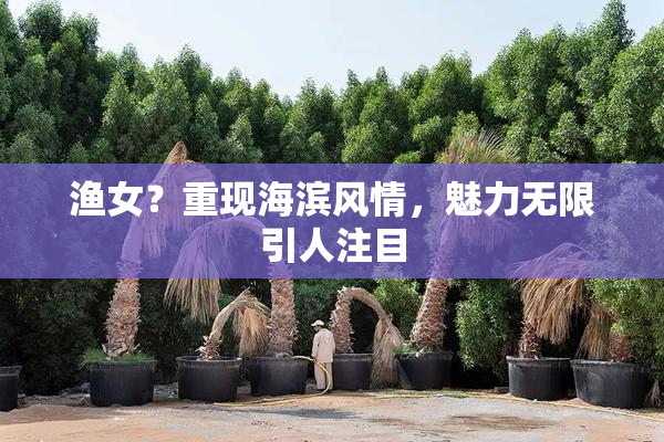 渔女？重现海滨风情，魅力无限引人注目