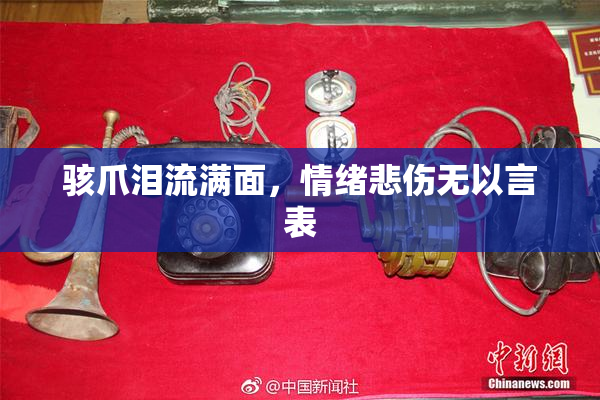 骇爪泪流满面，情绪悲伤无以言表