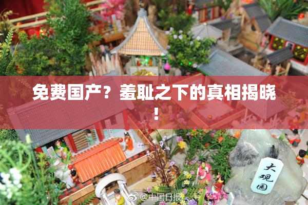 免费国产？羞耻之下的真相揭晓！