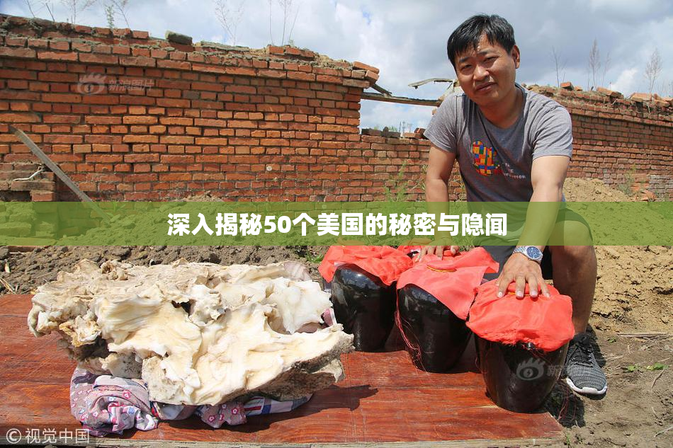 深入揭秘50个美国的秘密与隐闻