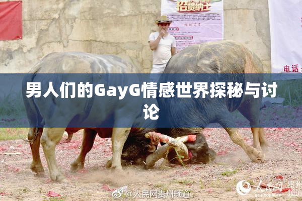 男人们的GayG情感世界探秘与讨论