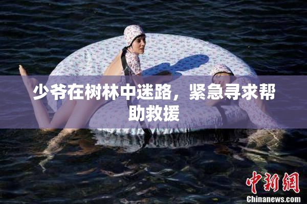 少爷在树林中迷路，紧急寻求帮助救援