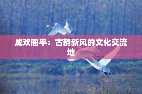 成欢阁平：古韵新风的文化交流地