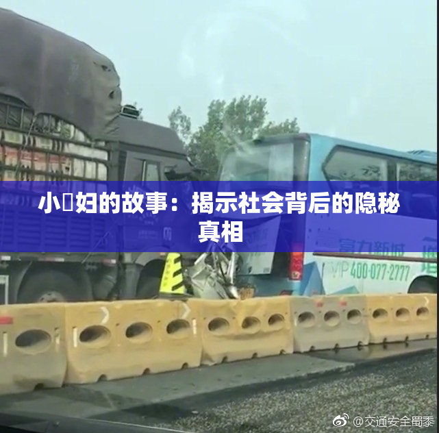 小婬妇的故事：揭示社会背后的隐秘真相