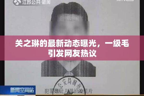 关之琳的最新动态曝光，一级毛引发网友热议