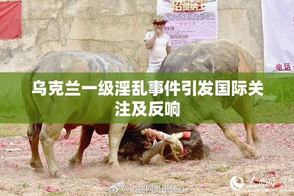 乌克兰一级淫乱事件引发国际关注及反响