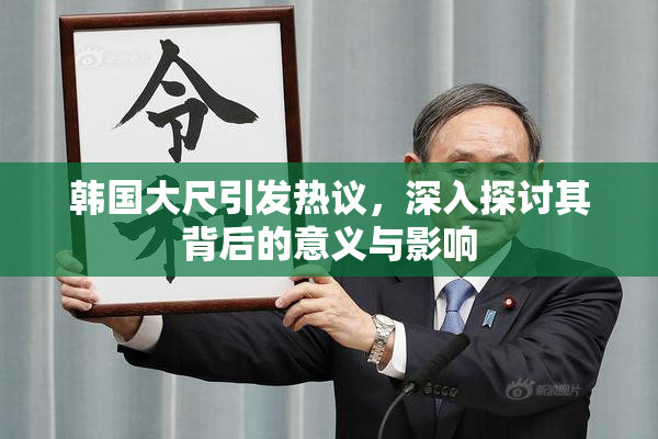 韩国大尺引发热议，深入探讨其背后的意义与影响