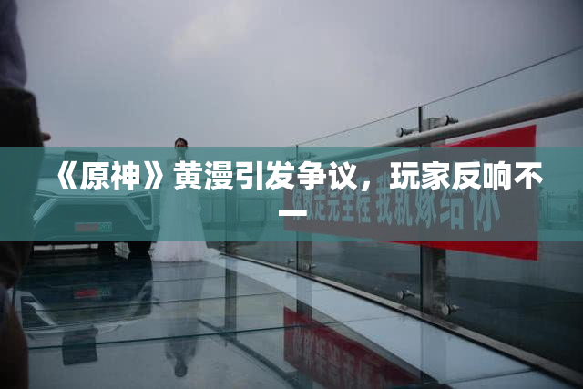 《原神》黄漫引发争议，玩家反响不一
