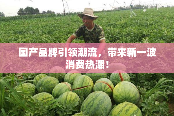 国产品牌引领潮流，带来新一波消费热潮！