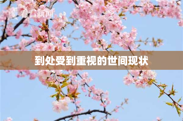 到处受到重视的世间现状
