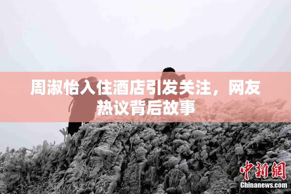 周淑怡入住酒店引发关注，网友热议背后故事