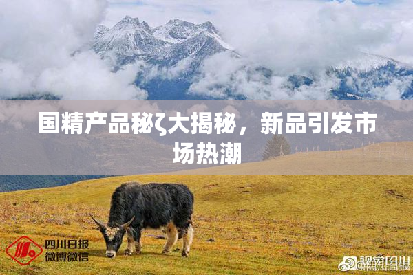 国精产品秘ζ大揭秘，新品引发市场热潮