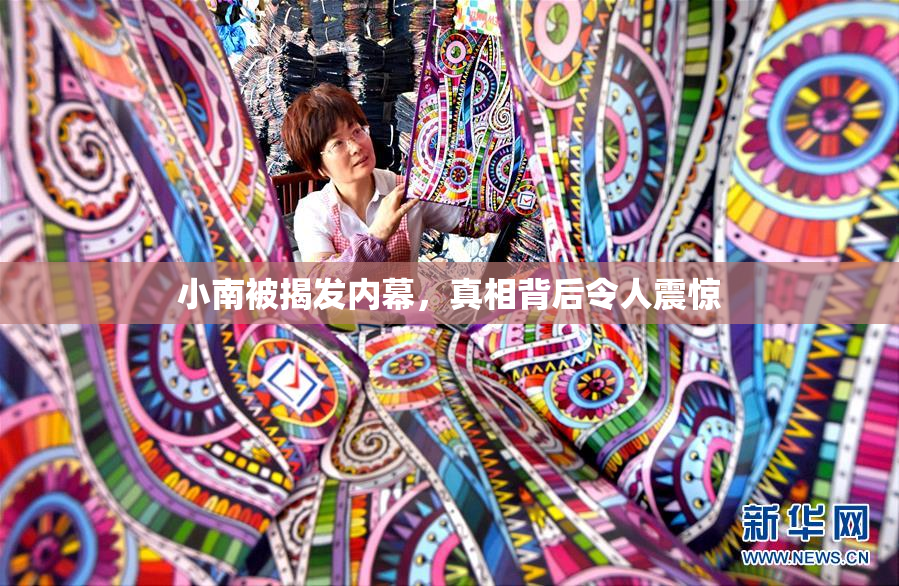 小南被揭发内幕，真相背后令人震惊
