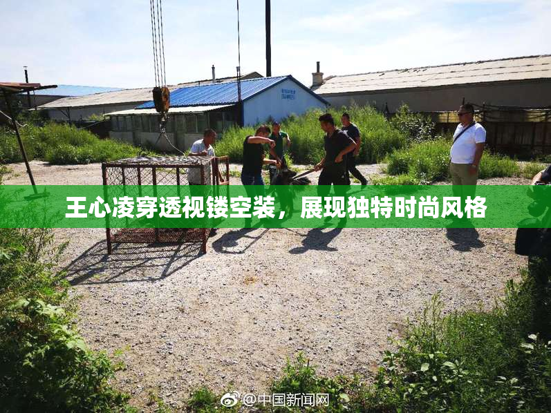 王心凌穿透视镂空装，展现独特时尚风格