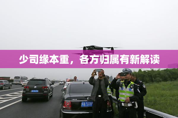 少司缘本重，各方归属有新解读