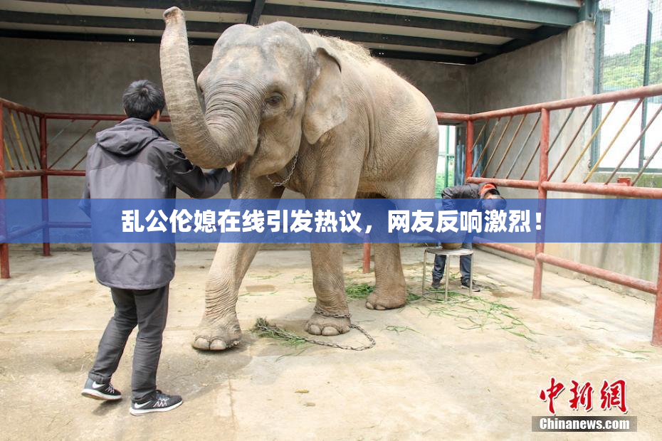 乱公伦媳在线引发热议，网友反响激烈！