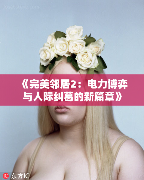 《完美邻居2：电力博弈与人际纠葛的新篇章》