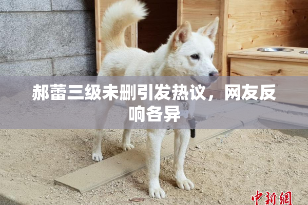 郝蕾三级未删引发热议，网友反响各异