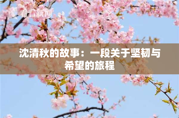 沈清秋的故事：一段关于坚韧与希望的旅程