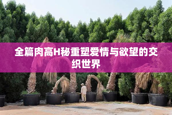 全篇肉高H秘重塑爱情与欲望的交织世界