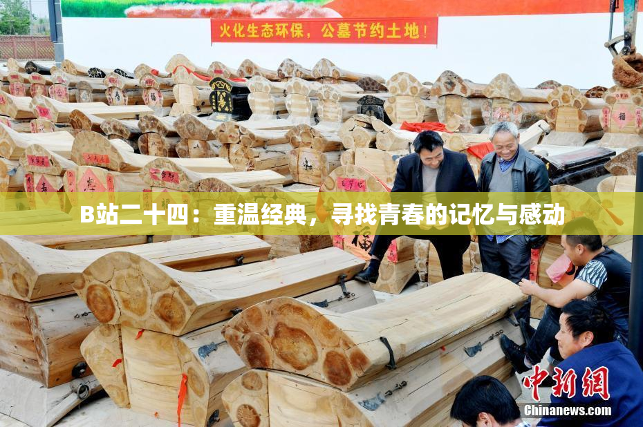 B站二十四：重温经典，寻找青春的记忆与感动