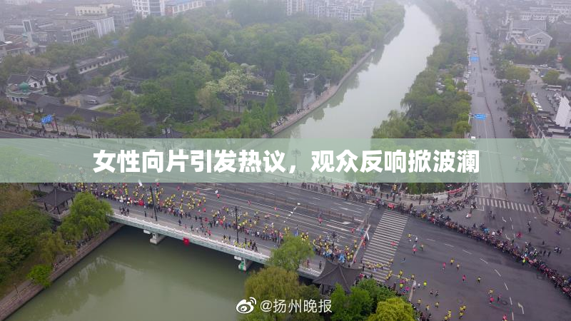 女性向片引发热议，观众反响掀波澜