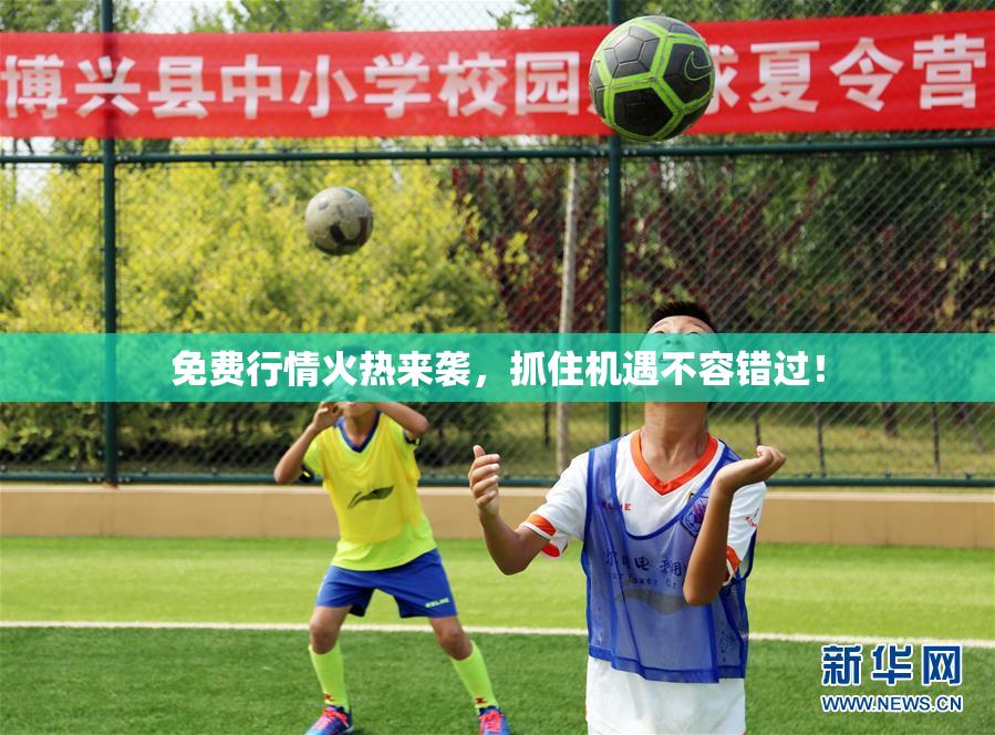 免费行情火热来袭，抓住机遇不容错过！