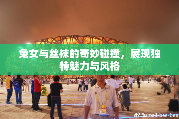 兔女与丝袜的奇妙碰撞，展现独特魅力与风格