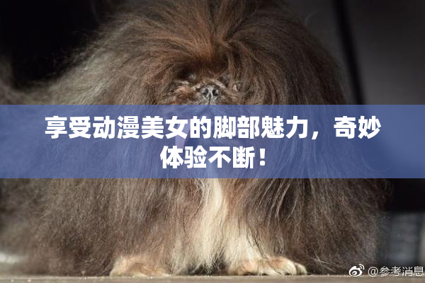 享受动漫美女的脚部魅力，奇妙体验不断！