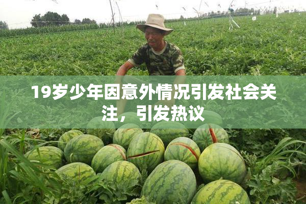 19岁少年因意外情况引发社会关注，引发热议