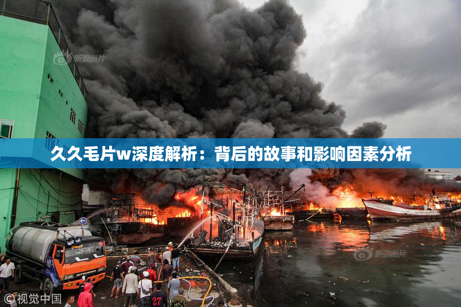 久久毛片w深度解析：背后的故事和影响因素分析
