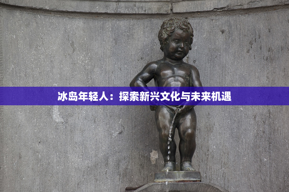 冰岛年轻人：探索新兴文化与未来机遇