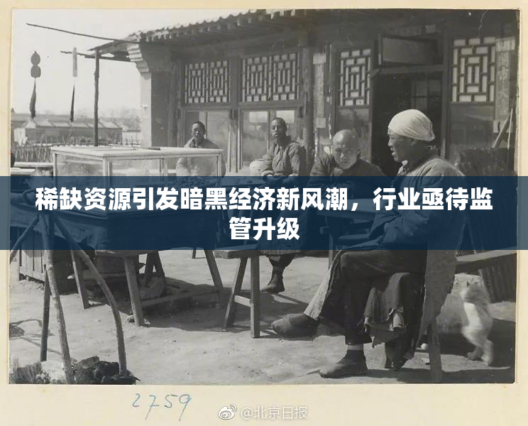 稀缺资源引发暗黑经济新风潮，行业亟待监管升级